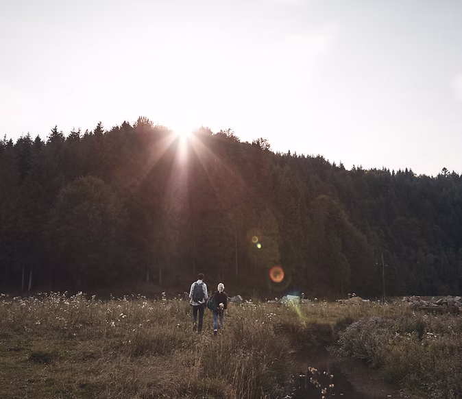 Two people walk through a grassy field toward a forested hill, with sunlight streaming over the trees and lens flare visible in the sky.